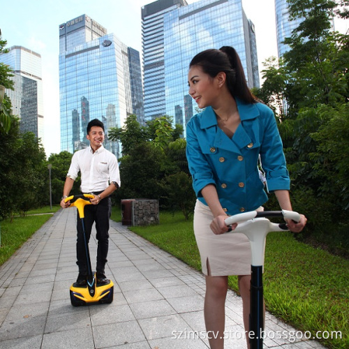 Mini-Type Personal Transporter Electric Scooter